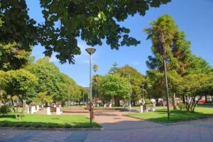 Arauco Gestión Propiedades