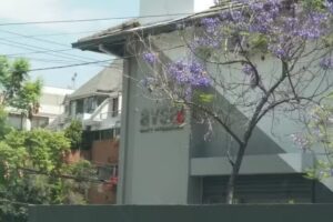 AVSA Venta de departamentos NUEVOS