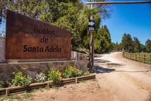 Boldos de Santa Adela