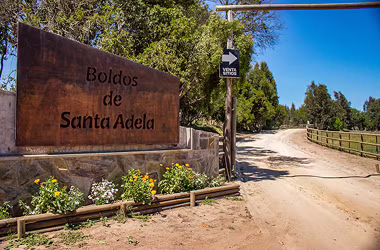 Boldos de Santa Adela