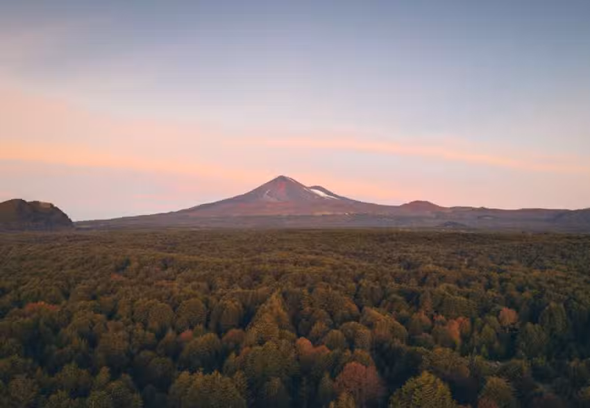 Bosques del LLaima