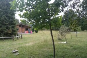Cabaña Campo Goyito