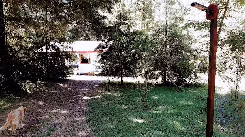 Cabañas Didita Villarrica Lican Ray