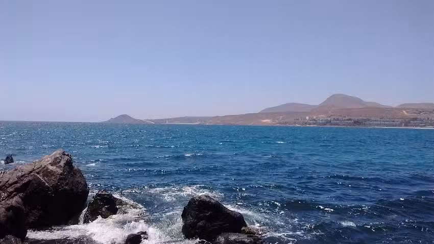 Cabañas El Olivo – Tongoy