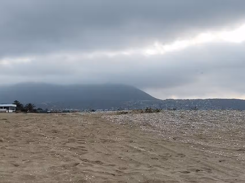 Cabañas enGuanaqueros