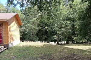 Cabañas Paimún