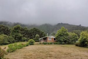 Cabañas Rucantú