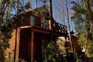 Cabañas Rukanto del Bosque
