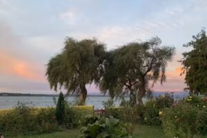 Cabañas Y Hospedaje Costanera