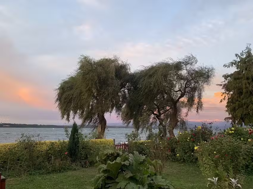 Cabañas Y Hospedaje Costanera