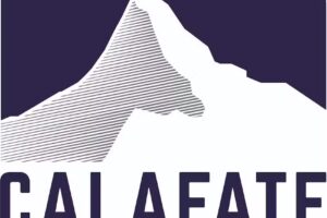 Calafate propiedades