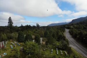 Campo Esmeralda