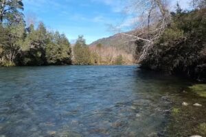 Castellanos Propiedades Panguipulli