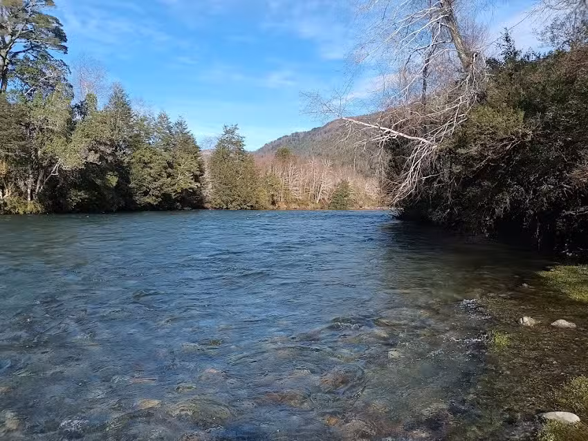 Castellanos Propiedades Panguipulli