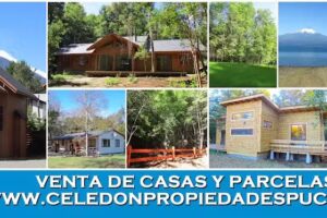 Celedón Propiedades Pucón