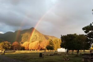 Complejo Turistico San Rey