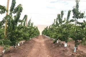 Corredora de propiedades & DEL RIO PROPERTY