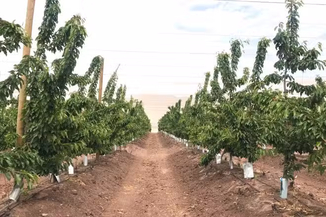 Corredora de propiedades & DEL RIO PROPERTY