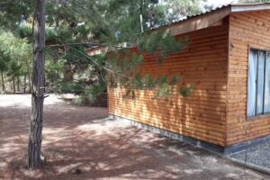 Eco Cabañas Algarrobo