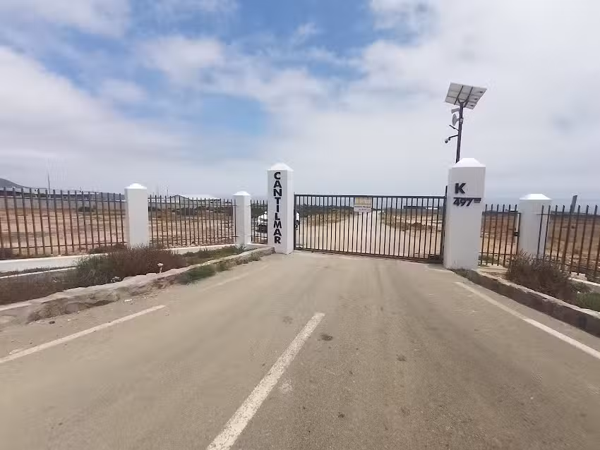 EL CORAL BLANCO