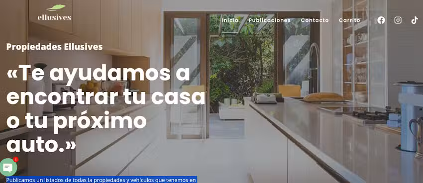 Ellusives