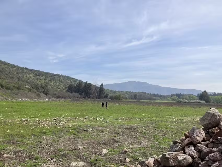 Fundo Valle las Camelias, sala de ventas