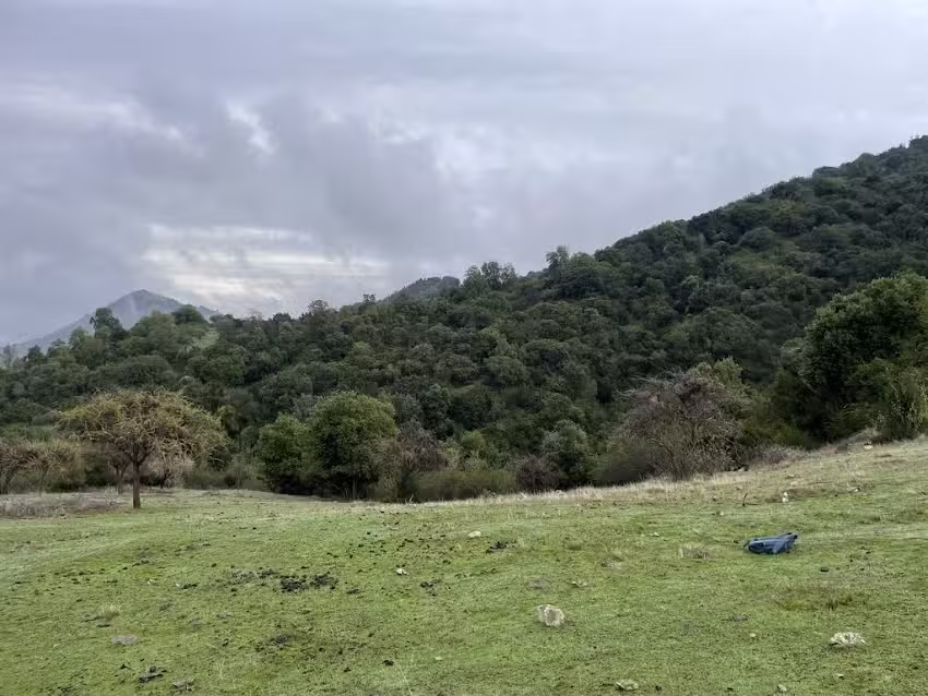 Hacienda Comalle