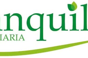 Inmobiliaria Ranquilco