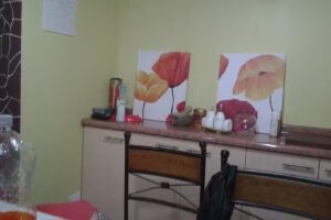 Inmobiliaria Sta María de Pirque
