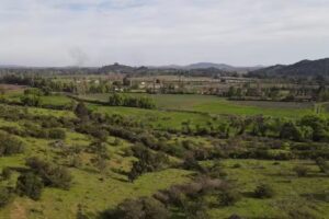 Lomas de San Pedro
