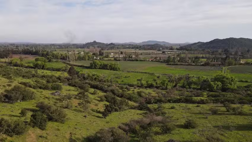 Lomas de San Pedro