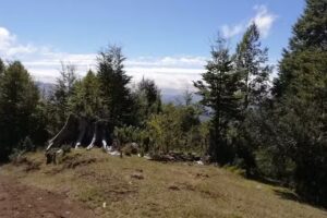 Los Nevados