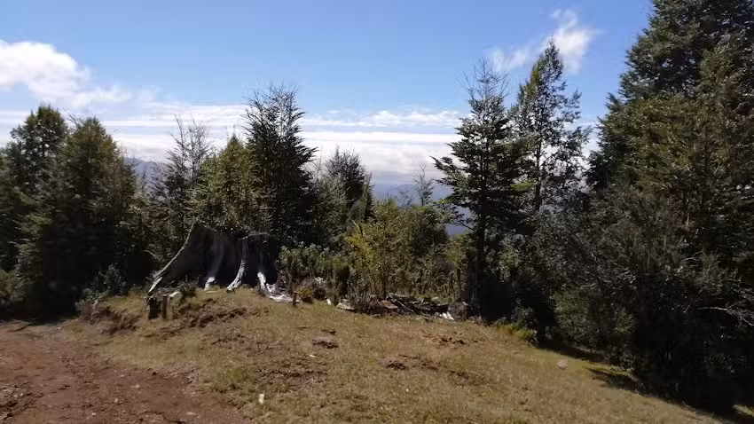 Los Nevados