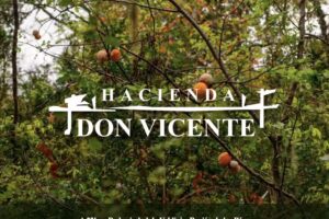 Loteo Hacienda Don Vicente