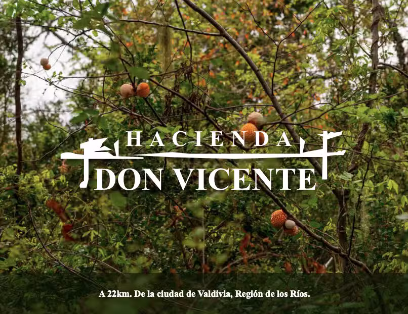 Loteo Hacienda Don Vicente