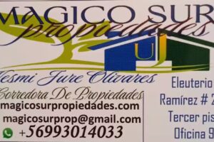 Mágico Sur Propiedades