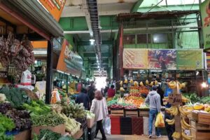 Mercado Cardonal