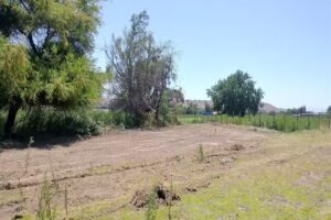 NaturaLimari Camping Spa