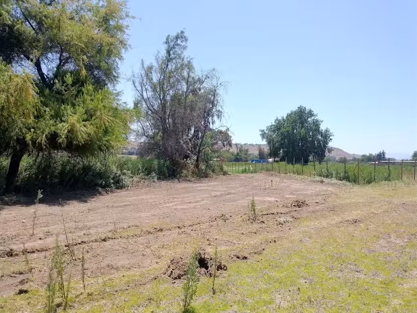 NaturaLimari Camping Spa