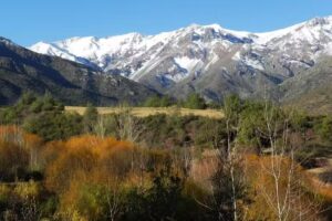 Parcela San Francisco de Los Andes