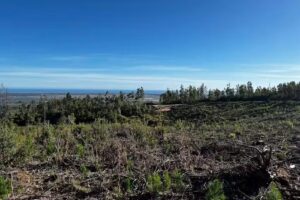 PARCELAS ALTO MAR Terrenos, Casas y Parcela con Rol propio