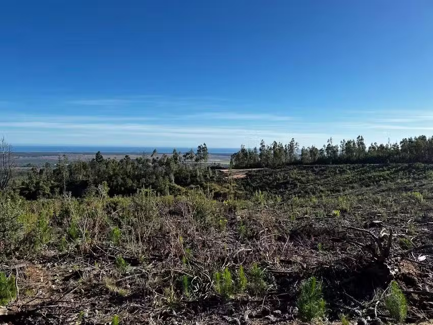 PARCELAS ALTO MAR Terrenos, Casas y Parcela con Rol propio
