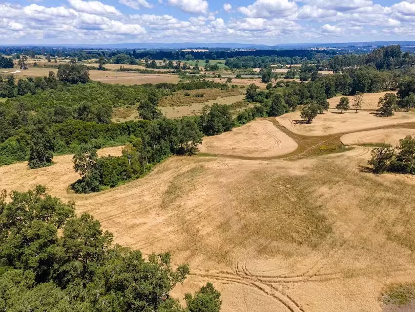 Parcelas Borde Río Osorno