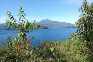 Parcelas Lago Rupanco