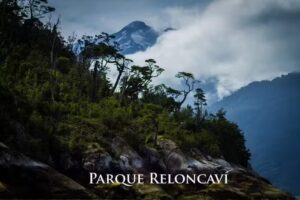 Parque Reloncavi