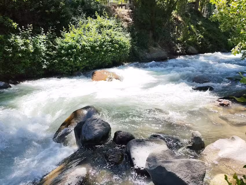 Paso Del Cóndor
