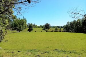 Praderas de Nancahue – Parcelas de Agrado