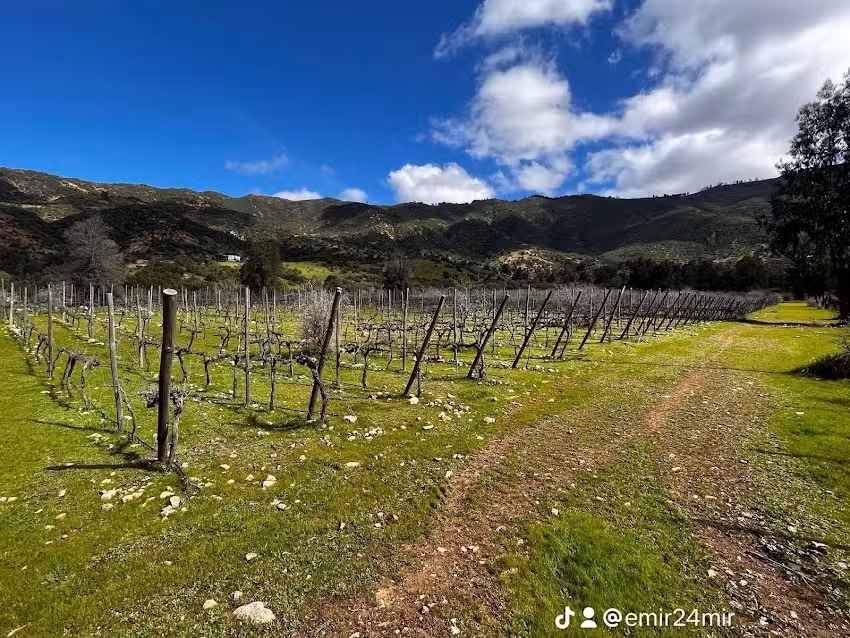 Propiedades AgromaxPro Valle Colchagua