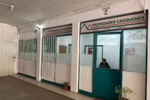 Propiedades Cauquenes