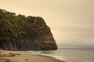 raices : desarrollo sostenible – conservacion
